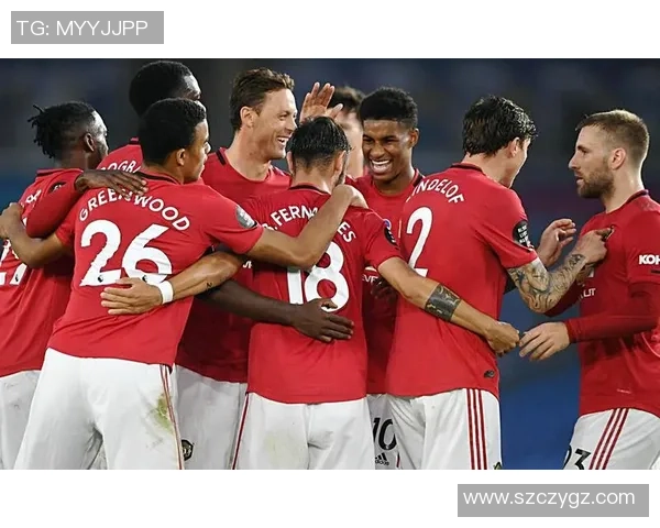 帕尼尼球星卡足球布料带编：收藏者的珍爱，足球迷的独特风采